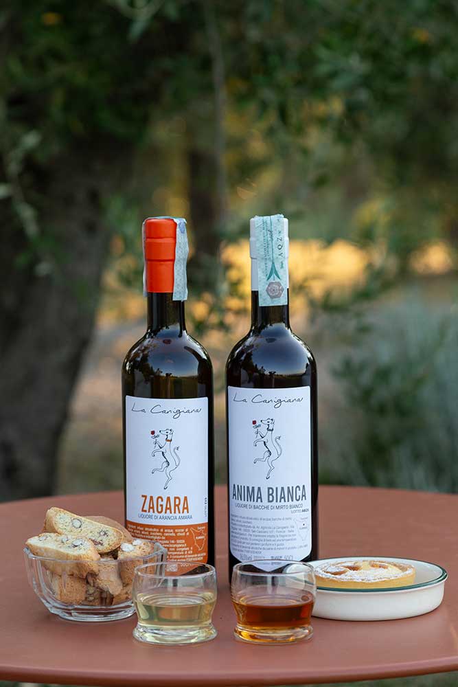 Degustazioni liquori bio toscani